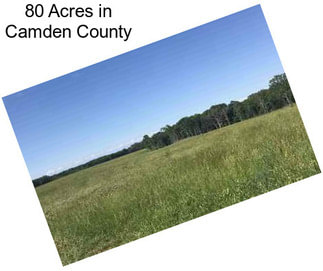80 Acres in Camden County