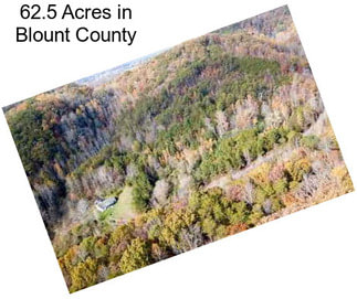 62.5 Acres in Blount County