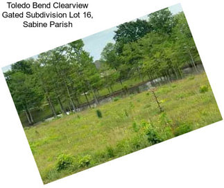 Toledo Bend Clearview Gated Subdivision Lot 16, Sabine Parish