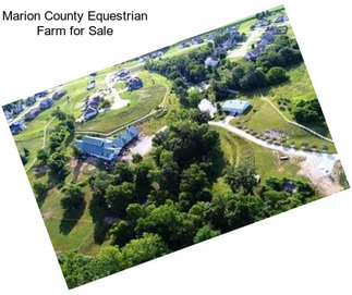 Marion County Equestrian Farm for Sale