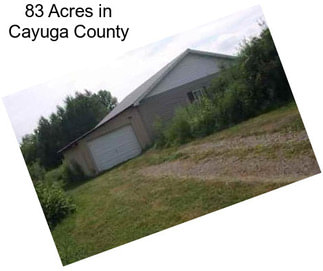 83 Acres in Cayuga County