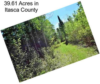 39.61 Acres in Itasca County