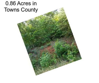 0.86 Acres in Towns County