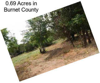 0.69 Acres in Burnet County