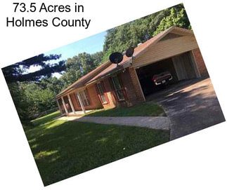 73.5 Acres in Holmes County