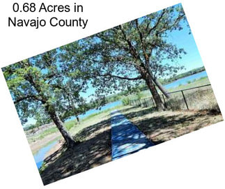 0.68 Acres in Navajo County