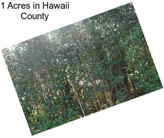 1 Acres in Hawaii County