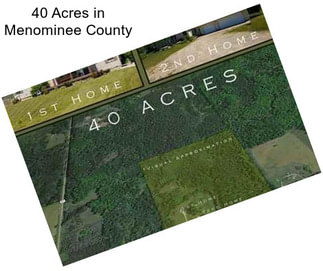 40 Acres in Menominee County