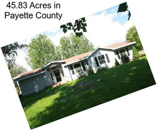 45.83 Acres in Payette County