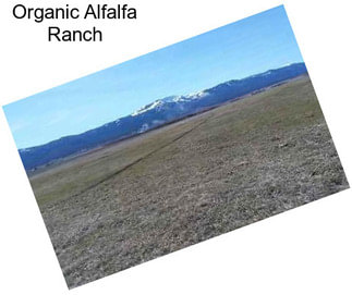 Organic Alfalfa Ranch