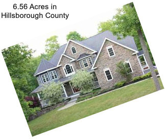 6.56 Acres in Hillsborough County
