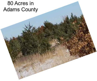 80 Acres in Adams County