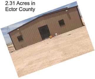 2.31 Acres in Ector County