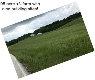 95 acre +/- farm with nice building sites!