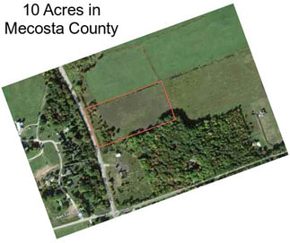 10 Acres in Mecosta County