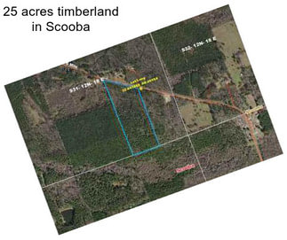 25 acres timberland in Scooba
