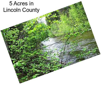 5 Acres in Lincoln County