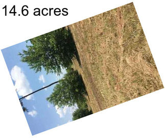 14.6 acres