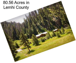 80.56 Acres in Lemhi County