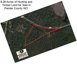 8.28 Acres of Hunting and Timber Land for Sale in Pender County NC!