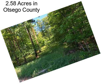 2.58 Acres in Otsego County