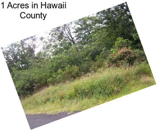 1 Acres in Hawaii County