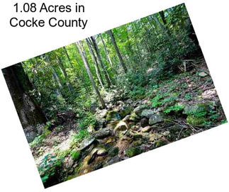 1.08 Acres in Cocke County