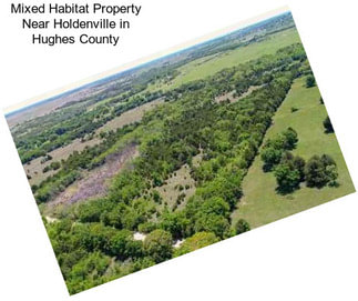 Mixed Habitat Property Near Holdenville in Hughes County
