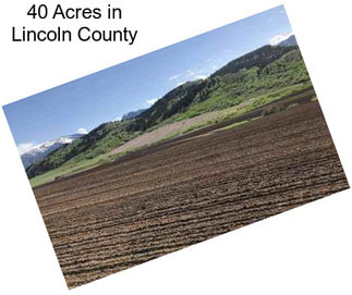 40 Acres in Lincoln County