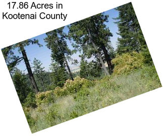 17.86 Acres in Kootenai County