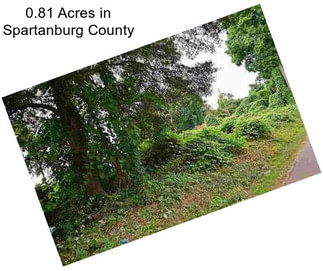 0.81 Acres in Spartanburg County