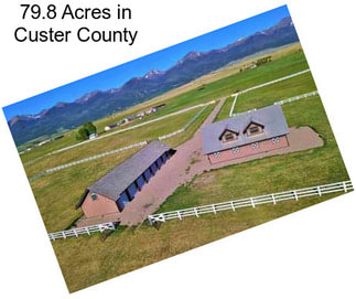 79.8 Acres in Custer County