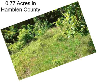 0.77 Acres in Hamblen County