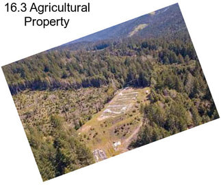 16.3 Agricultural Property