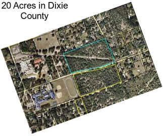 20 Acres in Dixie County