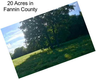 20 Acres in Fannin County