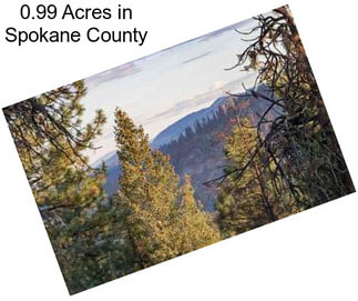 0.99 Acres in Spokane County