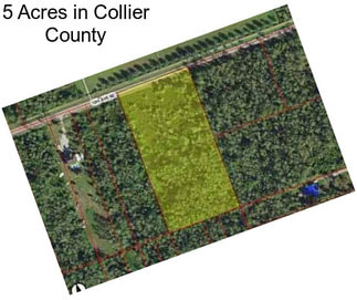 5 Acres in Collier County