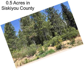 0.5 Acres in Siskiyou County