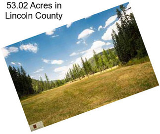 53.02 Acres in Lincoln County