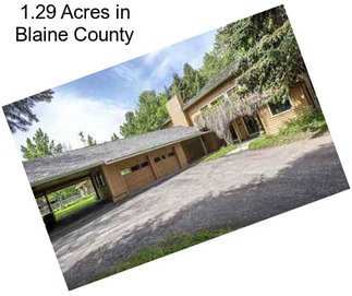 1.29 Acres in Blaine County