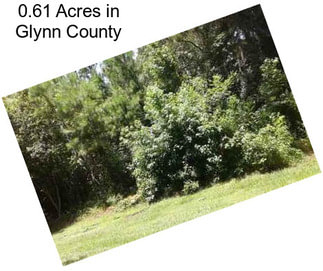 0.61 Acres in Glynn County