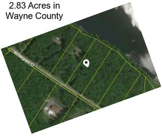 2.83 Acres in Wayne County