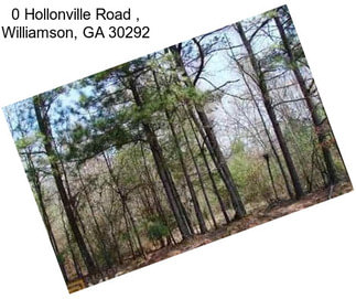 0 Hollonville Road , Williamson, GA 30292