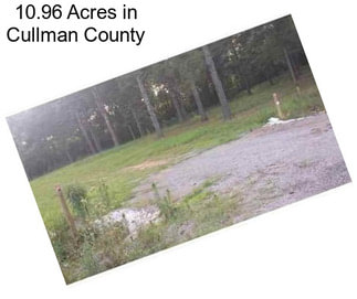 10.96 Acres in Cullman County