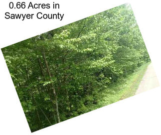 0.66 Acres in Sawyer County