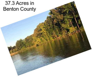 37.3 Acres in Benton County