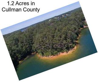 1.2 Acres in Cullman County