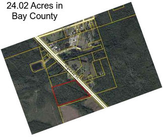 24.02 Acres in Bay County