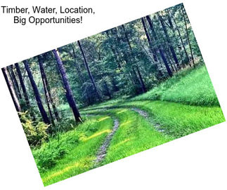 Timber, Water, Location, Big Opportunities!